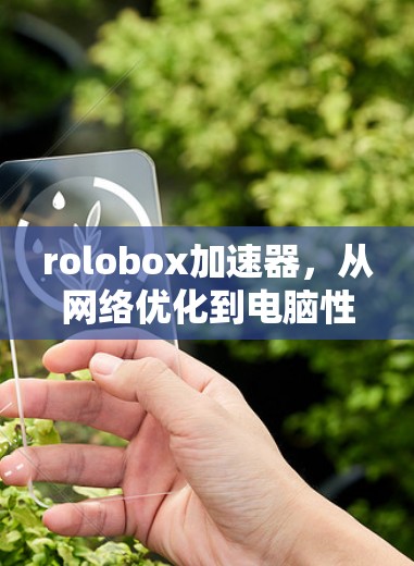 rolobox加速器，从网络优化到电脑性能的全能加速工具