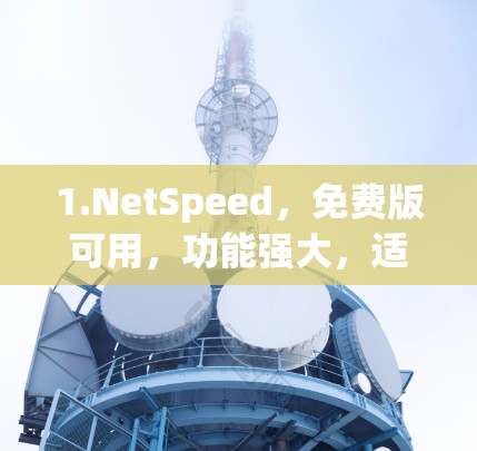 1.NetSpeed，免费版可用，功能强大，适合多种网页加载需求
