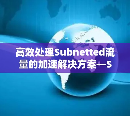 高效处理Subnetted流量的加速解决方案—Subneted外网加速器