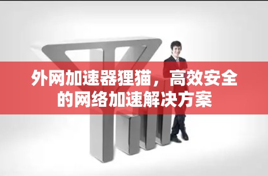 外网加速器狸猫,高效安全的网络加速解决方案 外网加速器狸猫,高效安全的网络加速解决方案