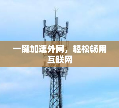 一键加速外网，轻松畅用互联网