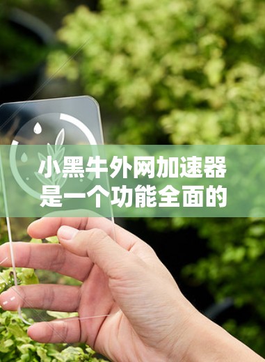 小黑牛外网加速器是一个功能全面的网络加速工具，主要用于在手机或电脑上快速访问互联网资源。以下是关于它的详细介绍