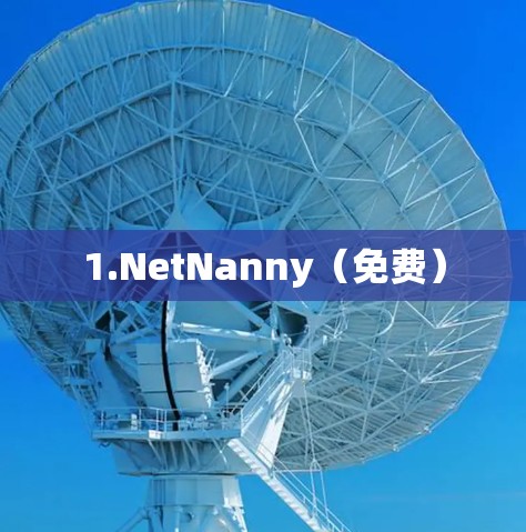 1.NetNanny（免费）