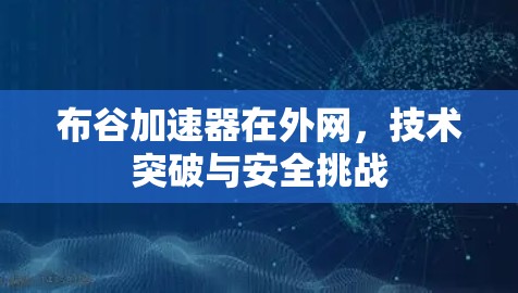 布谷加速器在外网，技术突破与安全挑战