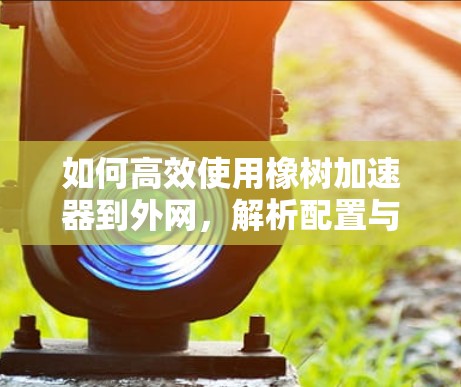 如何高效使用橡树加速器到外网，解析配置与优化技巧