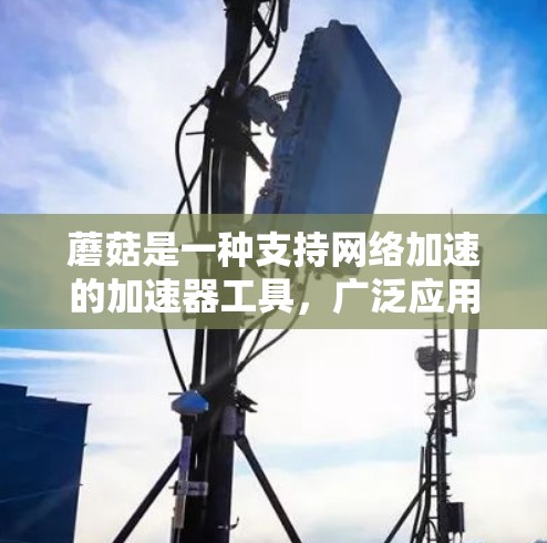 蘑菇是一种支持网络加速的加速器工具，广泛应用于加速数据下载、网络流量处理和资源管理。以下是对蘑菇的详细使用方法及考虑因素的总结