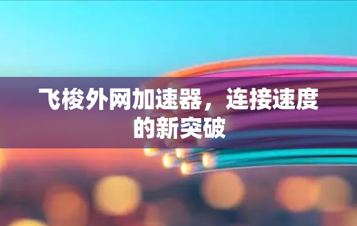 飞梭外网加速器,连接速度的新突破 飞梭外网加速器,连接速度的新突破