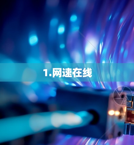 1.网速在线