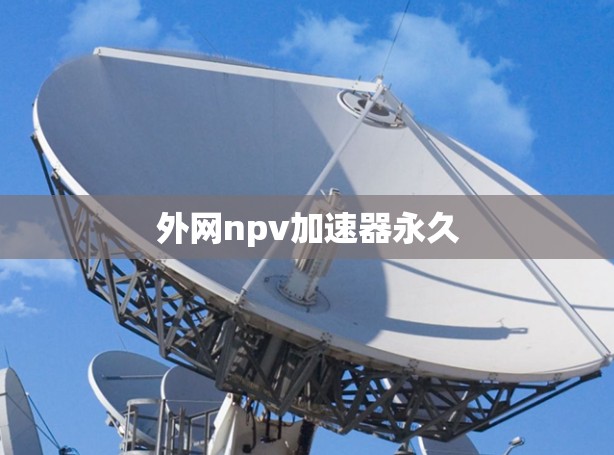 外网npv加速器永久 外网npv加速器永久