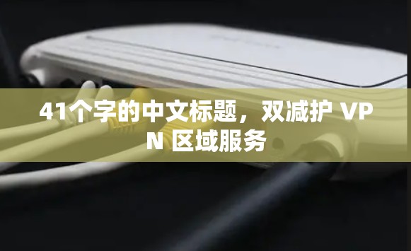 41个字的中文标题,双减护 VPN 区域服务 41个字的中文标题,双减护 VPN 区域服务