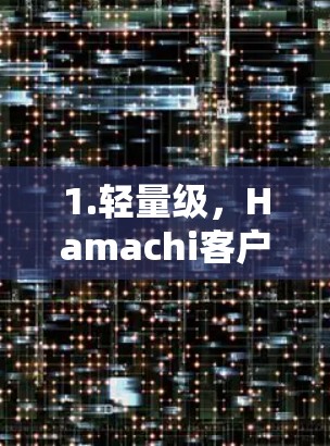 1.轻量级，Hamachi客户端是轻量级的框架，适用于需要快速响应和低延迟的应用