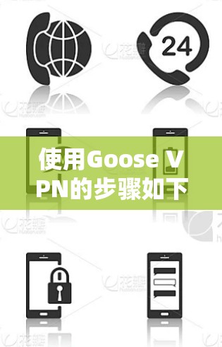 使用Goose VPN的步骤如下
