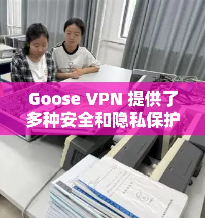 Goose VPN 提供了多种安全和隐私保护功能，旨在保护用户的网络环境并防止网络攻击。以下是其主要的安全功能和隐私保护措施的说明