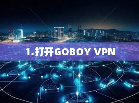1.打开GOBOY VPN
