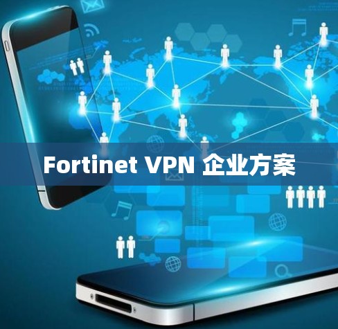 Fortinet VPN 企业方案