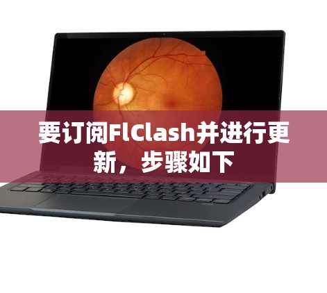 要订阅FlClash并进行更新,步骤如下 要订阅FlClash并进行更新,步骤如下