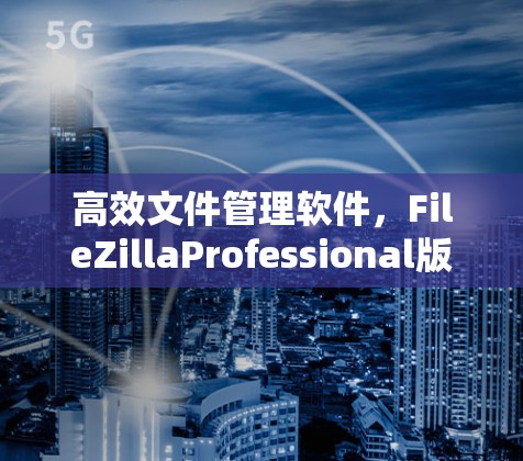 高效文件管理软件,FileZillaProfessional版 高效文件管理软件,FileZillaProfessional版