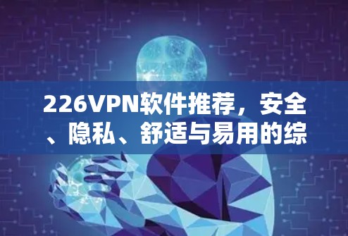 226VPN软件推荐，安全、隐私、舒适与易用的综述