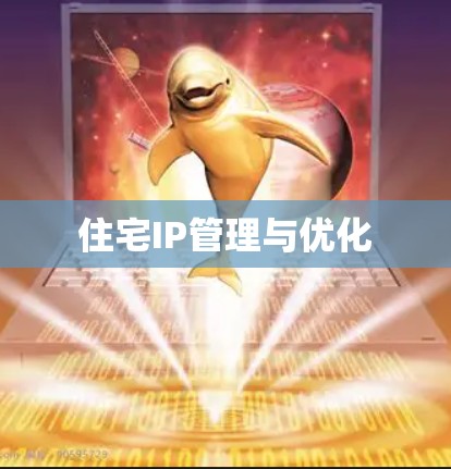 住宅IP管理与优化