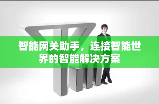 智能网关助手，连接智能世界的智能解决方案