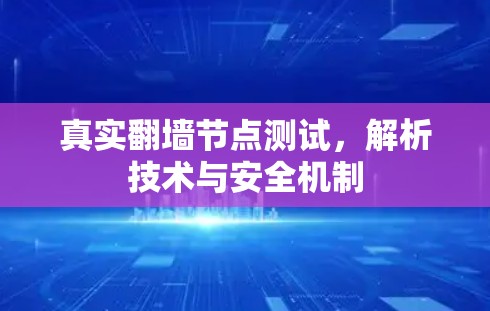 真实翻墙节点测试,解析技术与安全机制