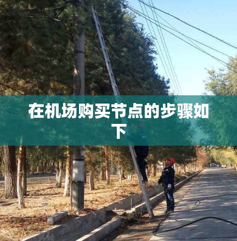 在机场购买节点的步骤如下